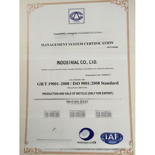 750W Electric Bike 3 Wheels Adult Fat Tire E Trike Cargo Torque 70-80 Nm Disc Brakes