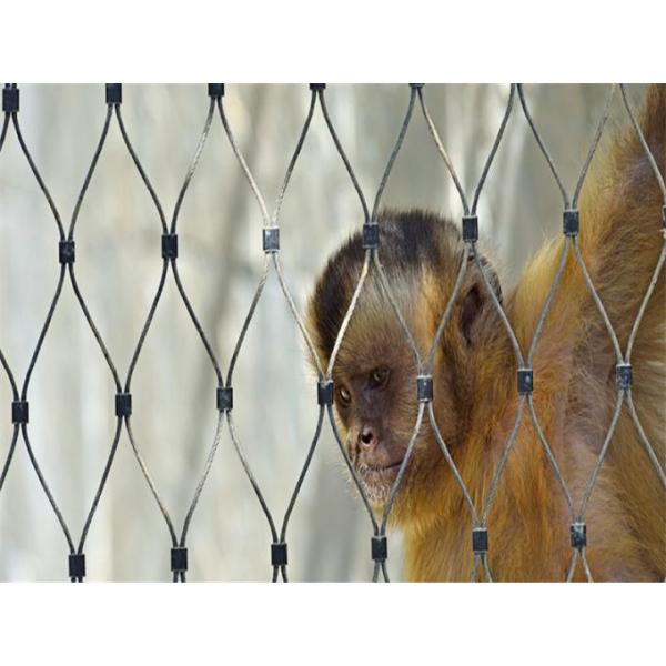 Rock Fall Protection Stainless Steel Wire Rope Mesh Net Plain Weave