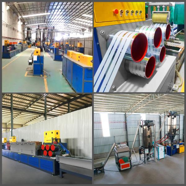 Automatic Two Way Cylinder PET Strap Manufacturing Machine PET Strap Extrusion Line