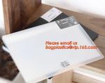 PP Material Document Pocket File Folder, A4 pp file folder, clear clip file