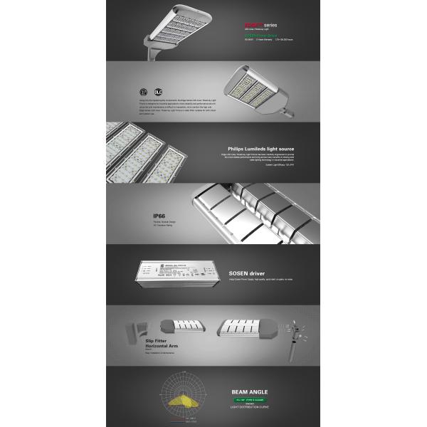 Single Twin Arms Village Outdoor Solar LED Flood Garden Street Light