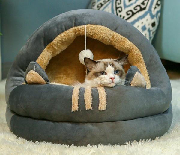 Cheap Soft Plush Cheap Removable Cat Beds Amazon With Removable Cotton Pad for sale