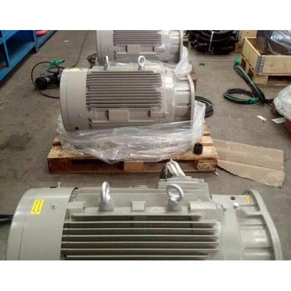 IP54 Screw Air Compressor Motor Spare Parts SKF Bearing F Class