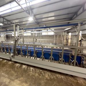 Quality SUS304 Goat Herringbone Milking Parlor Feeding Trough Quick Exit Type Pipeline wholesale