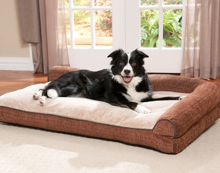 Water Resistant Memory Foam Orthopedic Dog Bed , Soft Large Foam Dog Bed