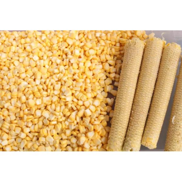 Factory Price Sweet Corn Shelling Machine,Maize Corn Sheller Equipment