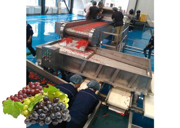 Cheap Concentrated  Grape Juice Processing Line / Fruit Juice Processing Equipment for sale