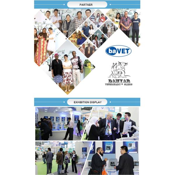 Affordable Ultrasound Equipment Wireless Convex Array Medical Probe MSLPU94