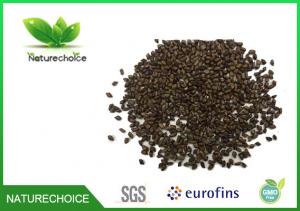 Quality Organic Cassia Seed, Herbal Teabag Semen Cassiae wholesale