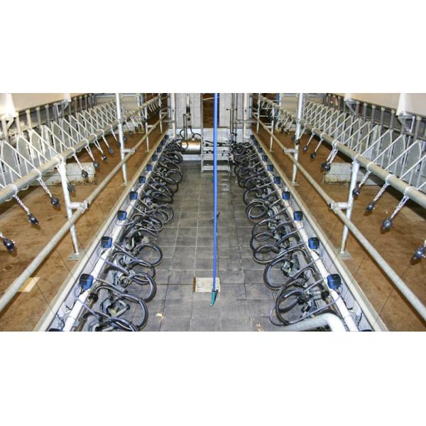 Prefabricated Barns for Cattle Horses Goats and Sheep Fast Build Steel Structure