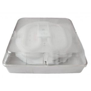 Quality Maintained LED ceiling emergency light IP65 wholesale