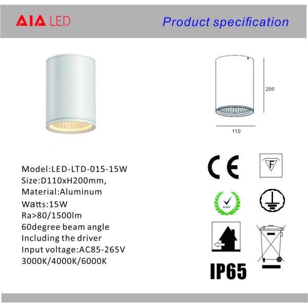 IP65 waterproof round DALI dimmable downlight 18W 0-10V dimmable outdoor led down light &outside downlight