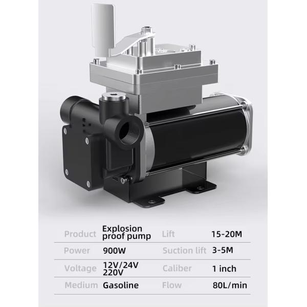 High Flow Compact Size 220 Volt 60L/min Electric Oil Portable Diesel Fuel Transfer Pump