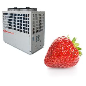 China 29KW Large Glass Agricultural Electric Greenhouse Heater For Better Growth Of Strawberry Tomato Seed on sale
