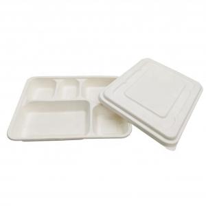 Quality Biodegradable Food Box White Color Food Grade Sugarcane Pulp Material Non Pollution wholesale