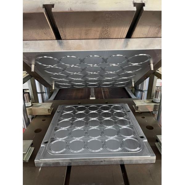 Royal Way Oil Resistance FIG 1502 Weco NBR HNBR FKM PTFE Hammer Union Seal For Oilfield