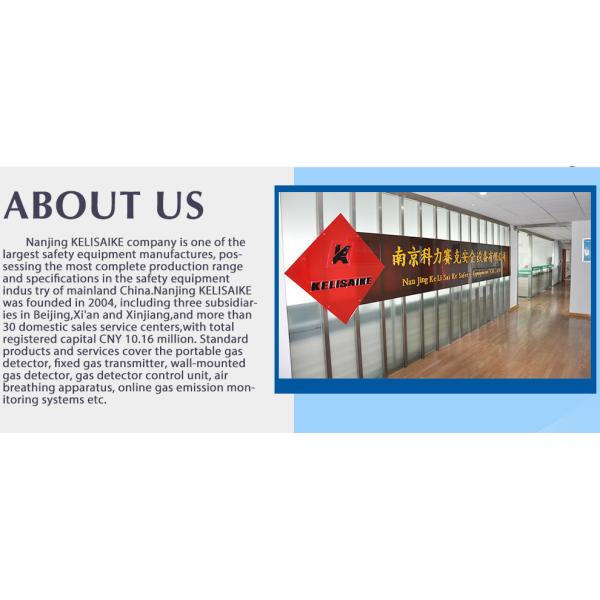 Customization Nomex Powered Air Filter Mask Papr With Battery Filter Fan