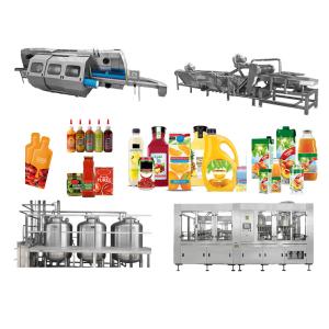 Turnkey Project Berry Juice And Jam Processing Line Including Equipment Installation And Training
