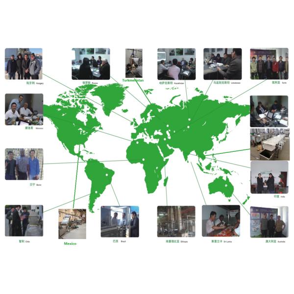 Tomato Paste Production Line For 300 Tones A Day Processing Machine