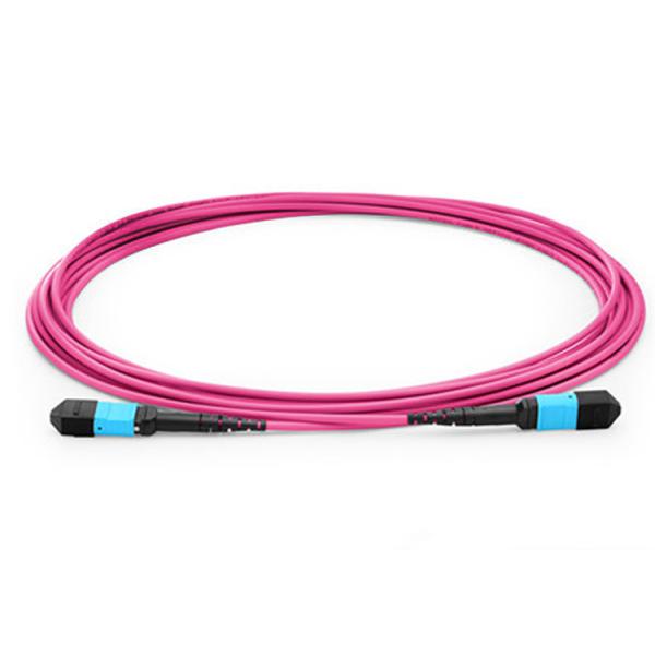 0.2dB Insertion Loss MPO MTP Patch Cord 3m 5m 10m 50 / 125 Core LSZH Violet