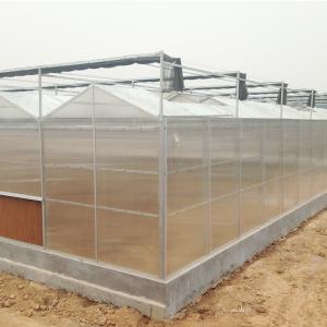 Advanced Multi-Span Hydrophonic Greenhouse for Commercial Supply Gutter Height 3m-6m