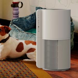 China Small Room Animal Air Purifier Three Fan Speed For Pet Hair And Mold on sale