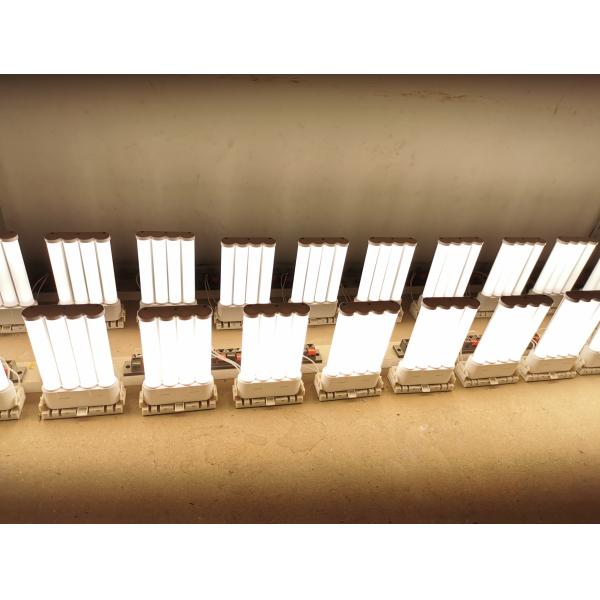 TYPE A+B 2G10 led PL light 12W CRI80 120LM/W 2835smd AC85-277V Three-year warranty