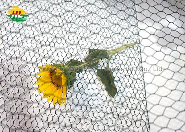 Cheap 13mm Mesh Opening Hexagonal Wire Netting , 20 GA Galvanized Chicken Mesh for sale