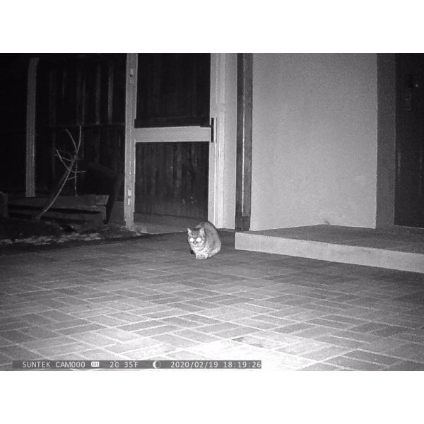 Wildlife Trigger Night Vision Trail Camera 2.0 Inch TFT Display