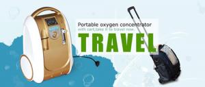 Quality Whole set mini portable oxygen concentrator,with battery oxygen concentrator wholesale