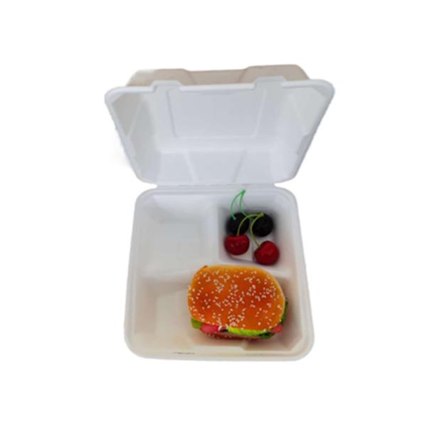 Biodegradable compostable bagasse 8inch compartment lunch paper boxes for fast