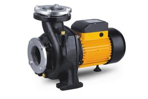 Quality Single Stage Nfm Series Electric Centrifugal Pump , Pool High Volume Electric Water Pump wholesale