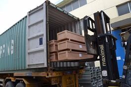 25W Persimmon Skin Peeler Persimmon Peeling Machine Persimmon Drying Machine