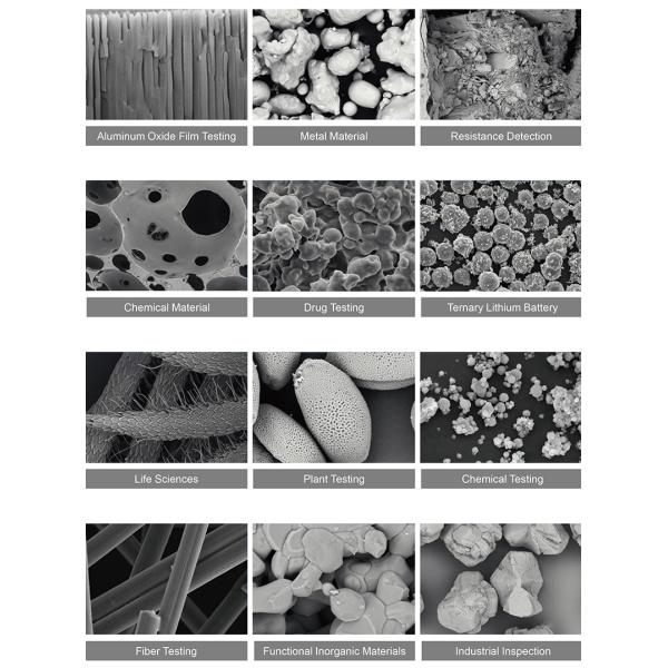 OPTO-EDU A63.7004 Single-Crystal Filament Scanning Electron Microscope SE BSE 360000x 3nm@20KV