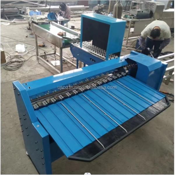 Egg Grade Machine By Weight Egg Weight Classify Sorter Egg Weight Grader Egg Size Classifier