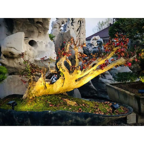 5w solar lights garden pond spotlights,ip65 solar spotlight waterproof,led solar garden spotlight outdoor color