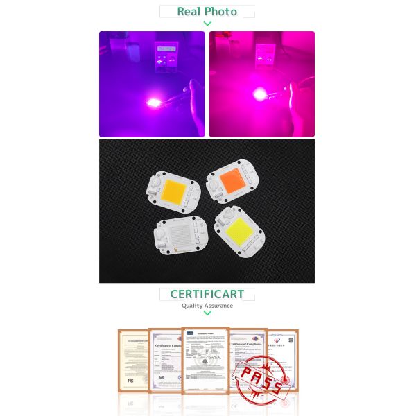 Cool White RGB LED Module 30W 220V LED COB Chip Color Temperature 6500K