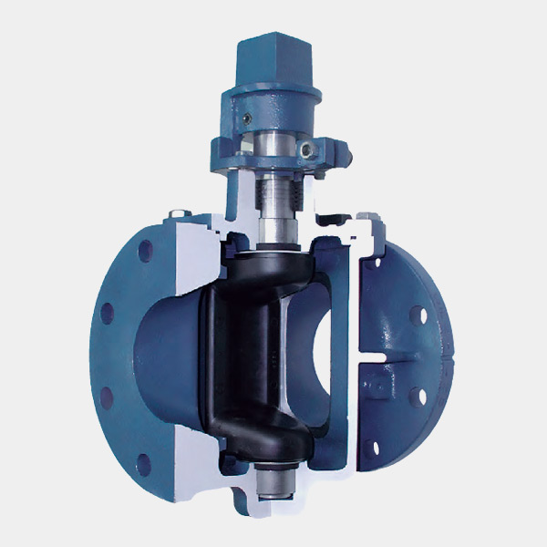 Resilient Seated Gate Valve 175PSI Cast Iron Plug Valve Lifting Type Quarter Turn Rotational Motion Flanged Ends