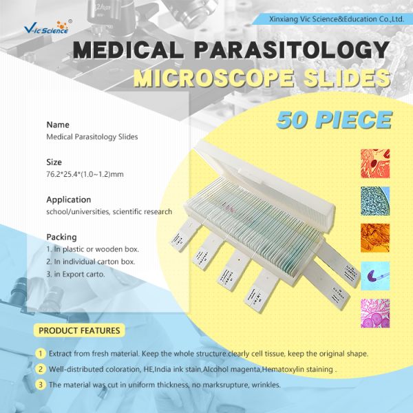 Medical Human Parasitology Slides 50pcs EU Standard Glass Material For College