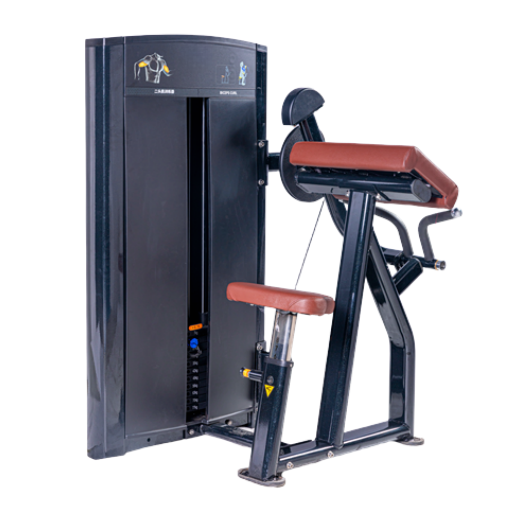 Top Quality Biceps Machine Gym Use Commercial