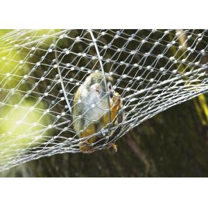 SS316 Zoo 50mm Hole Bird Aviary Mesh For Parrots