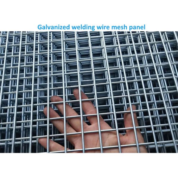Galvanized Welded Wire Welded Reinforcing Aviary Mesh Panels Fence