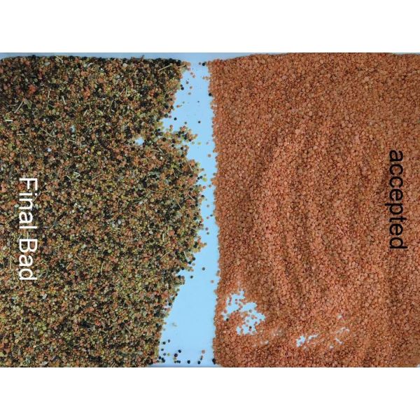 CCD Camera Sunflower Kernel 2t/H Color Sorter Machine 256 Channels