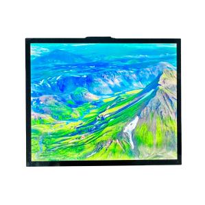 Quality T-CON TFT LCD Module TFT Screen 19 Inches All IPS Viewing 470cd Luminance wholesale