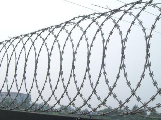Rope Mesh Electro Galvanized Barbed Wire 50 KG Per Roll for Protection 20-500m Length