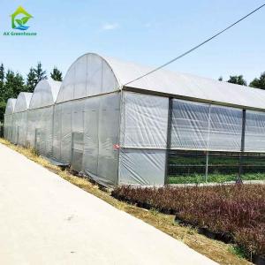 Quality Agricultural Commercial Industrial Plastic Film Greenhouse With Complete Systems wholesale