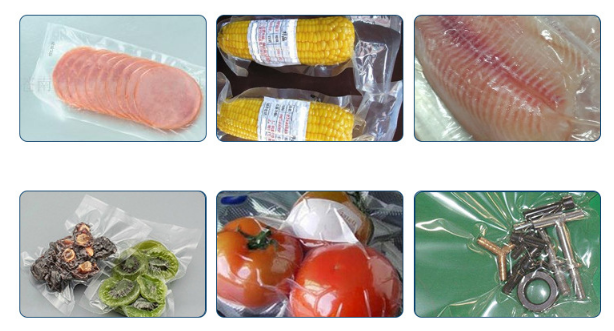 Multifunctional Food Vacuum Sealer Packaging Machine DZ-600/2SB Double Chamber