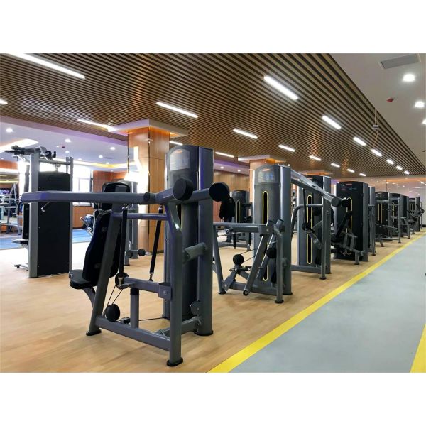 Pectoral Fly Machine Commercial Gym Equipment Chest Fly Rear Delt Pin Loaded