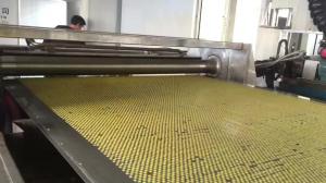 China Steel Belt Cooling Wax Pellet Machine PE Trimellitic Anhydride Salt Stearate on sale