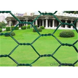 Quality PVC Coated Width 2.0m BWG22 Diamond Wire Netting wholesale